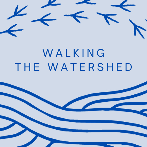 Walking the Watershed: A Series of Guided Walks in the Great Basin
